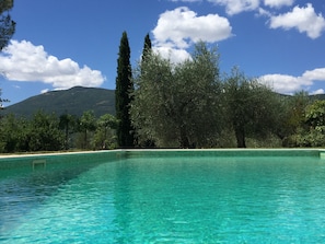 Pool - LUXURY VILLA MAGNOLIA HOUSE IN TUSCANY (Cetona)