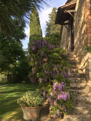 المنطقة المحيطة بالمنشأة