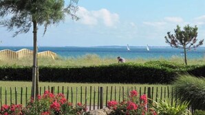 Un paysage côtier avec une zone herbeuse, une clôture en bois et une rangée de fleurs roses.