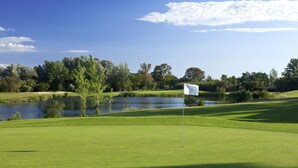 Ein Golfplatz mit Fahnenstange, einem Gewässer und Bäumen.