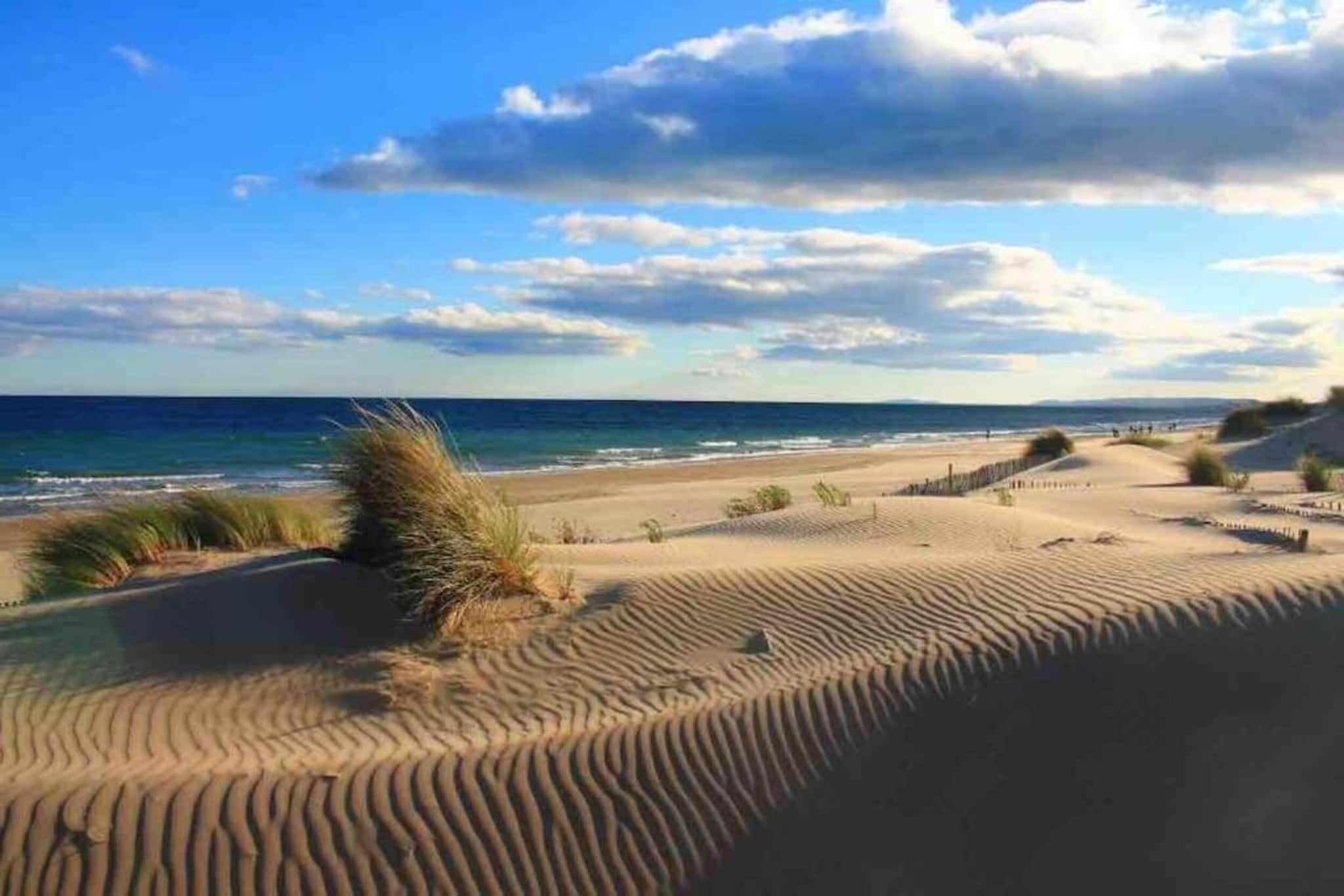 Ein Strand mit Dünen und dem Meer im Hintergrund.