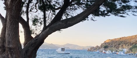 Plage à proximité