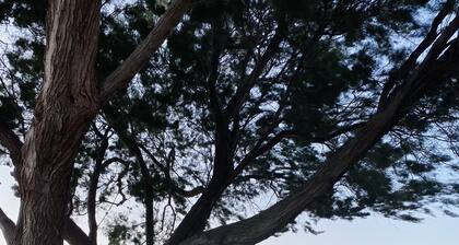 Agnanti villa MHTE1468K91000407601