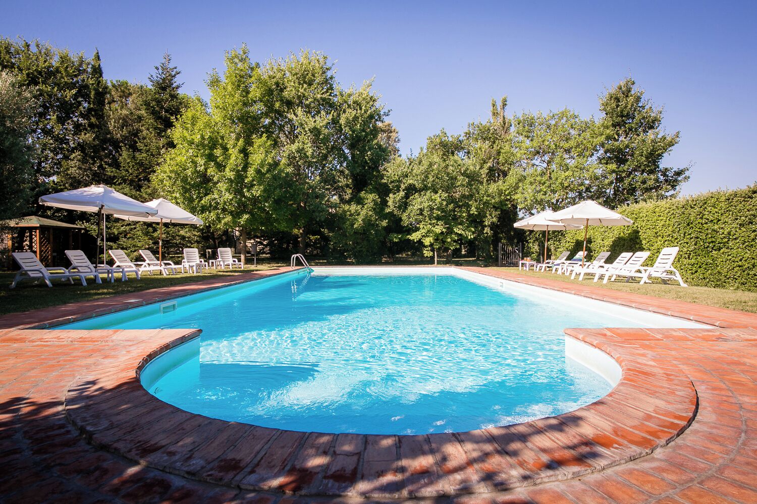 A rectangular swimming pool with a brick deck, surrounded by white lounge chairs and umbrellas, set against a backdrop of trees and a hedge.
