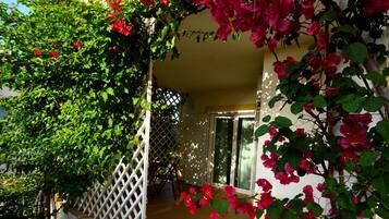 DĂ©tail de lâextĂ©rieur