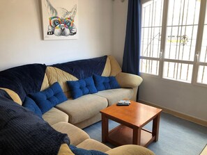 Télévision, lecteur de DVD, livres