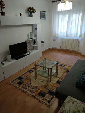 TV - Apartment for rent months of July August or September (Santander)