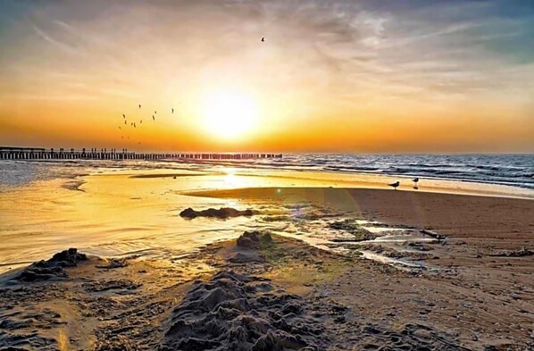 A beach with a pier extending into the water, birds flying, and the sun setting.