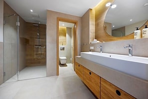 Une salle de bain moderne avec une douche à l’italienne, un grand meuble-lavabo avec un miroir et des toilettes visibles à travers une porte ouverte.