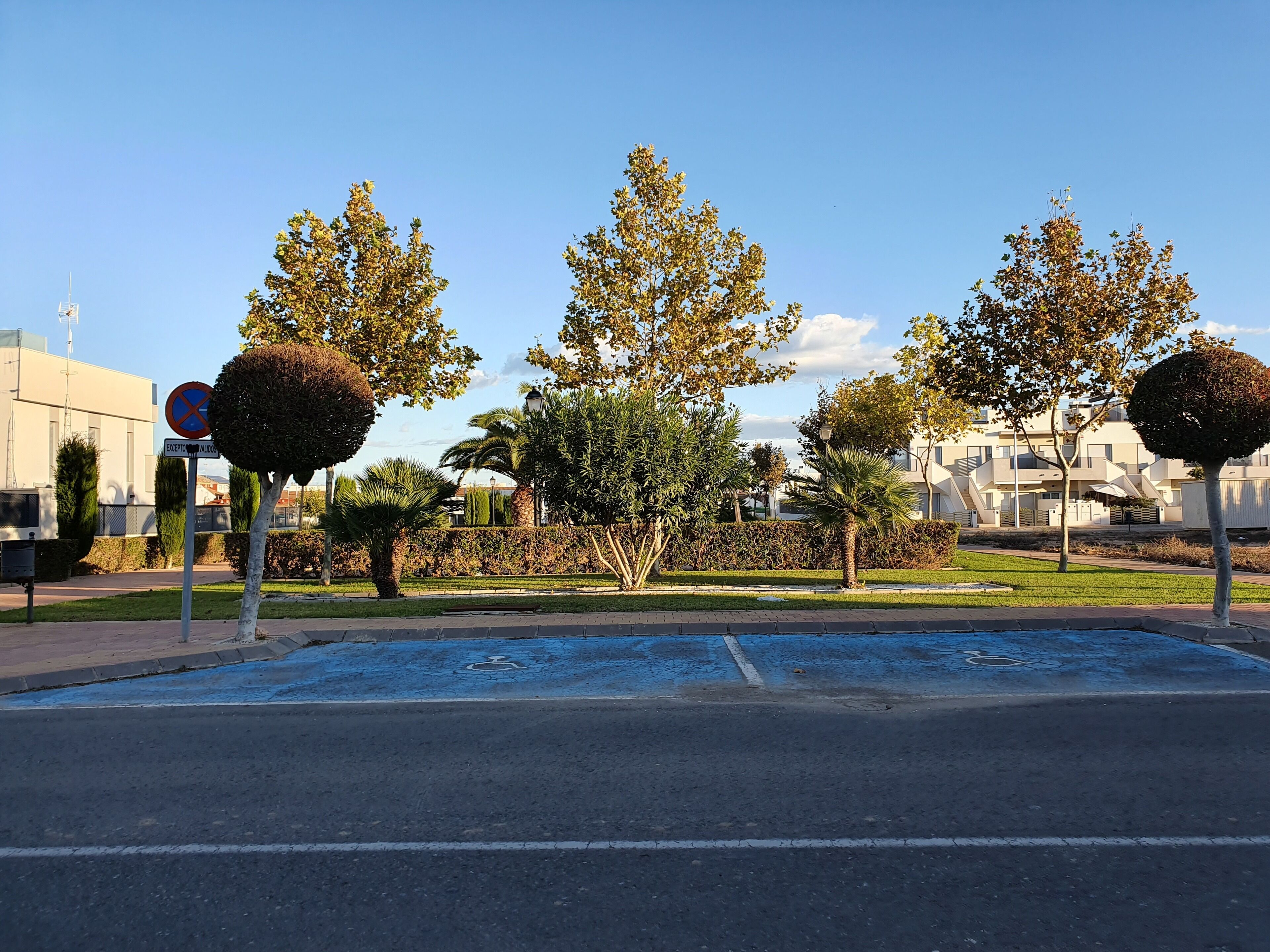 Un espace de stationnement avec une place de stationnement bleue réservée aux personnes handicapées, un panneau indiquant l’interdiction de se garer et un bâtiment en arrière-plan.