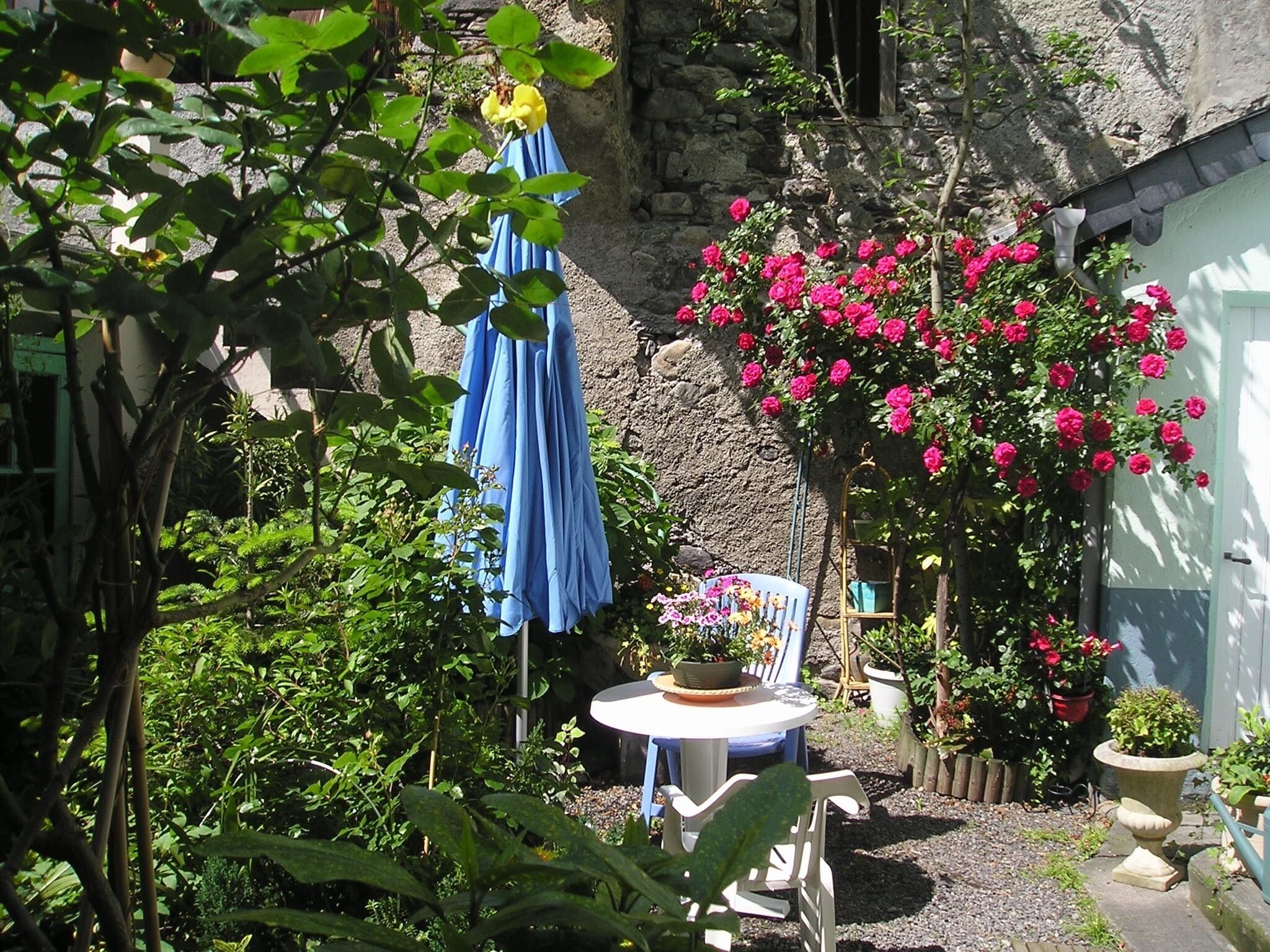 jardin