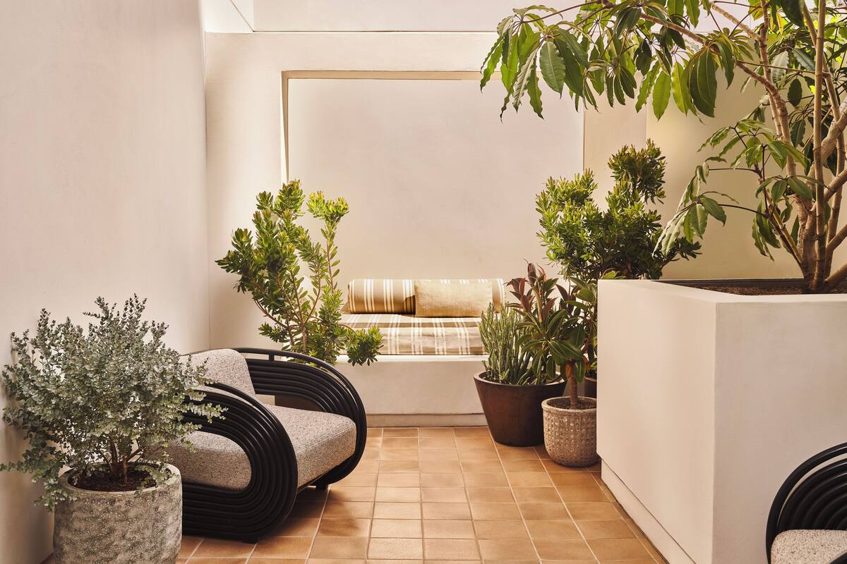 Un rincón acogedor con un sofá y sillones, rodeado de plantas en macetas y una mesita.