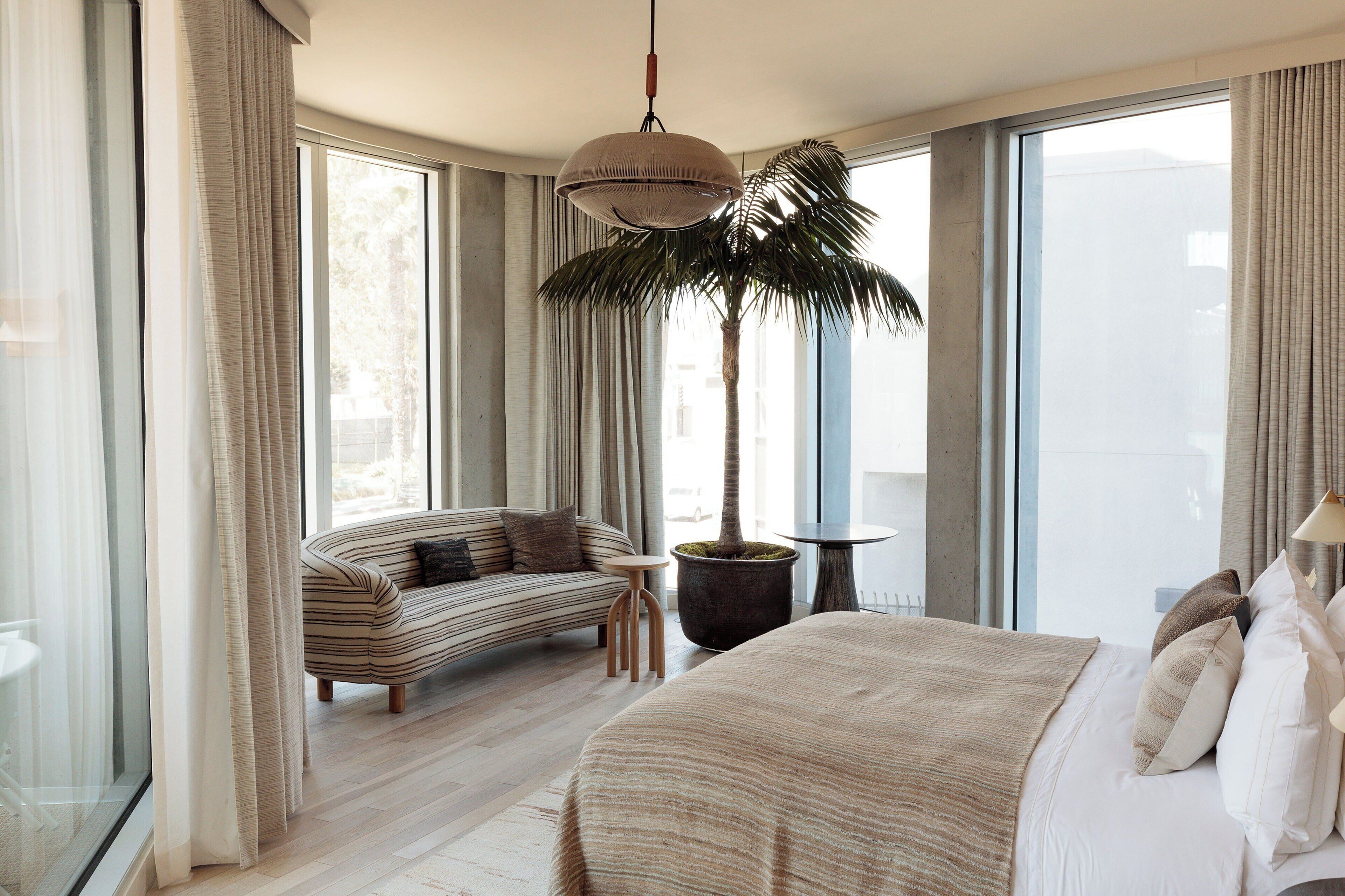 A modern hotel room with a large bed, a sofa, a small table, a potted plant, and large windows.
