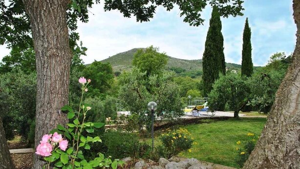 A garden with a tree, a lamp post, and a grassy area with a hill in the background. - Villa Il Casolare Country House with pool (Itri)