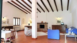 A spacious living area with a fireplace, a dining table with chairs, and a blue sofa. - Villa Il Casolare Country House with pool (Itri)
