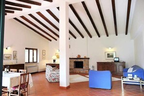 Televisión, chimenea y reproductor de DVD 