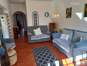 Smart TV, chimenea, reproductor de DVD y libros 