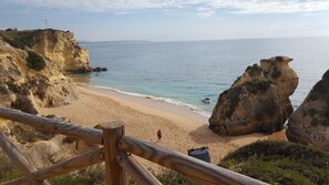 Playa en los alrededores y camastros 