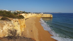 Playa en los alrededores y camastros 