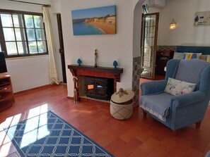 Smart TV, lareira, DVD player, livros