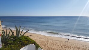 Playa en los alrededores y camastros 