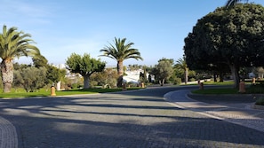 A paved pathway in a park with palm trees and a view of a cityscape in the distance. - Beautiful three bed ground floor apartment Ideal for family holidays (Porches)