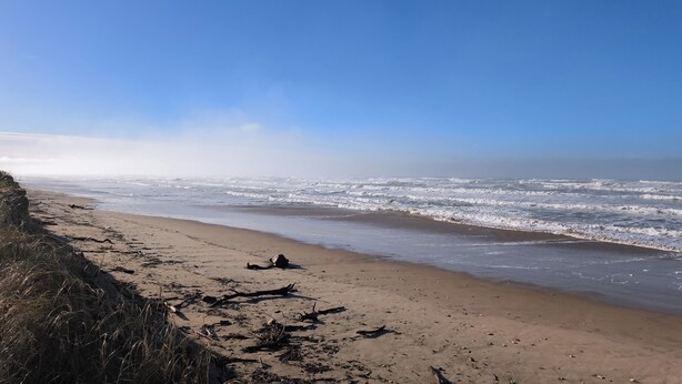 Une plage avec des vagues, un rivage sablonneux et quelques morceaux de bois flotté.