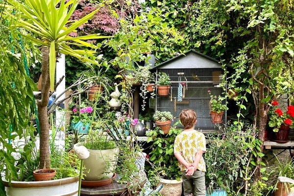 Àrea exterior de l'allotjament