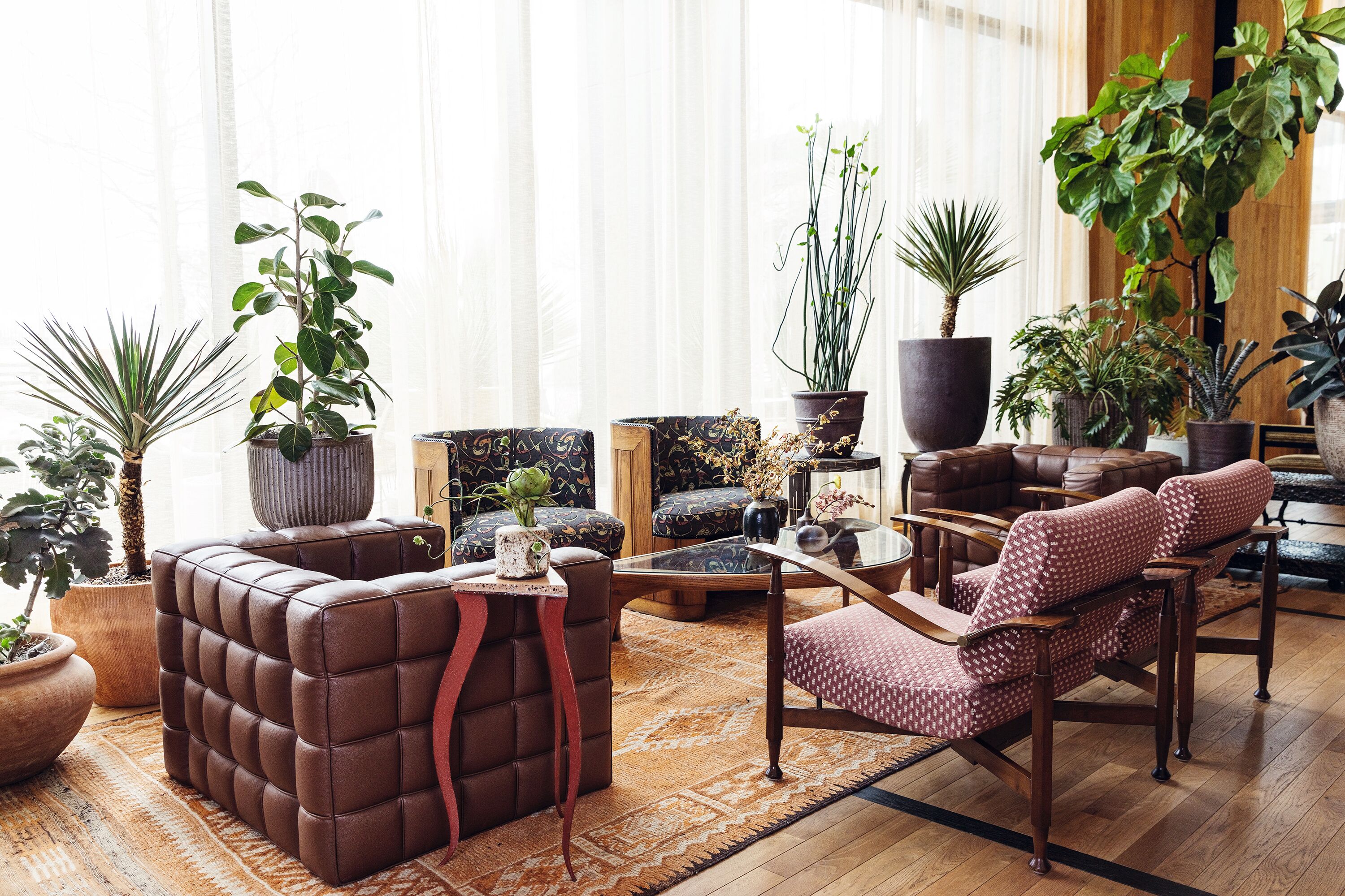 Una sala de estar acogedora con un sofá de cuero marrón, un sillón estampado y una mesa de centro. Hay varias plantas en macetas y un ventanal con cortinas de gasa.