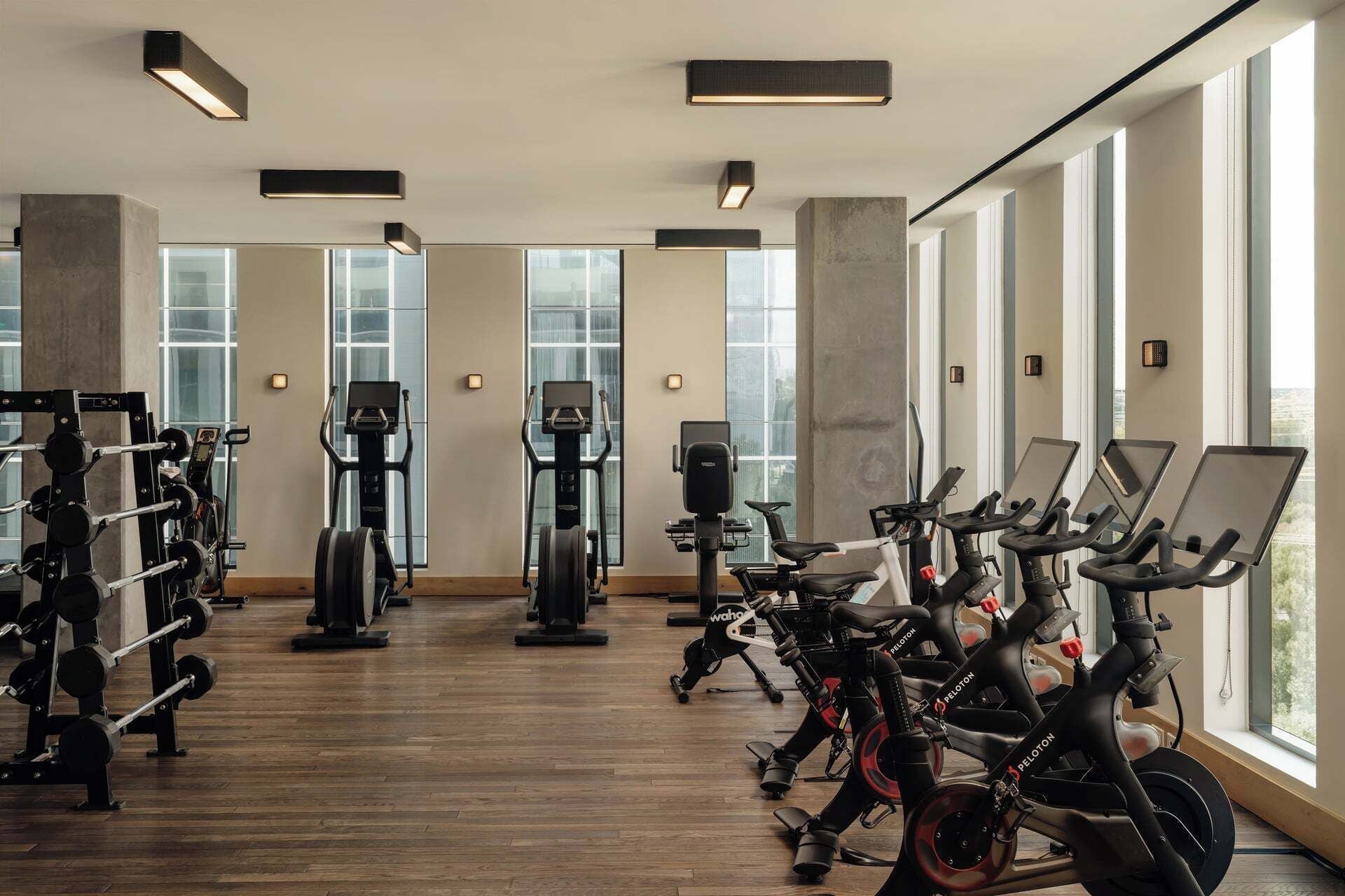 A gym with cardio machines, weightlifting equipment, and large windows providing natural light.
