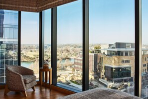 Deluxe Suite | View from room