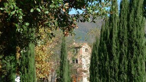 A pathway lined with tall, coniferous trees leading to a stone building with a bell tower. - Awesome 1BR Countryside Tower Suite w shared pool & gorgeous gardens (Cortona)