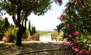 Property grounds - Villa Los Filabres - Lux 3 bed / 4 bath Villa, AC, Views, Large Salt Pool, Albox (Albox)