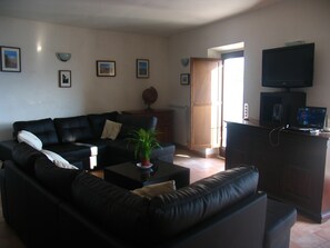 Smart TV, chimenea, libros, estéreo