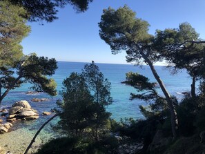 Un paysage côtier avec une mer bleue et limpide, une côte rocheuse et des pins.
