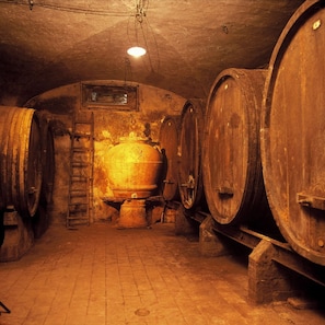 Nicht klassifiziertes Bild, 2 von 7, Schaltfläche