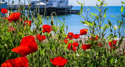 Quiet Location In The Heart Of Eastbourne