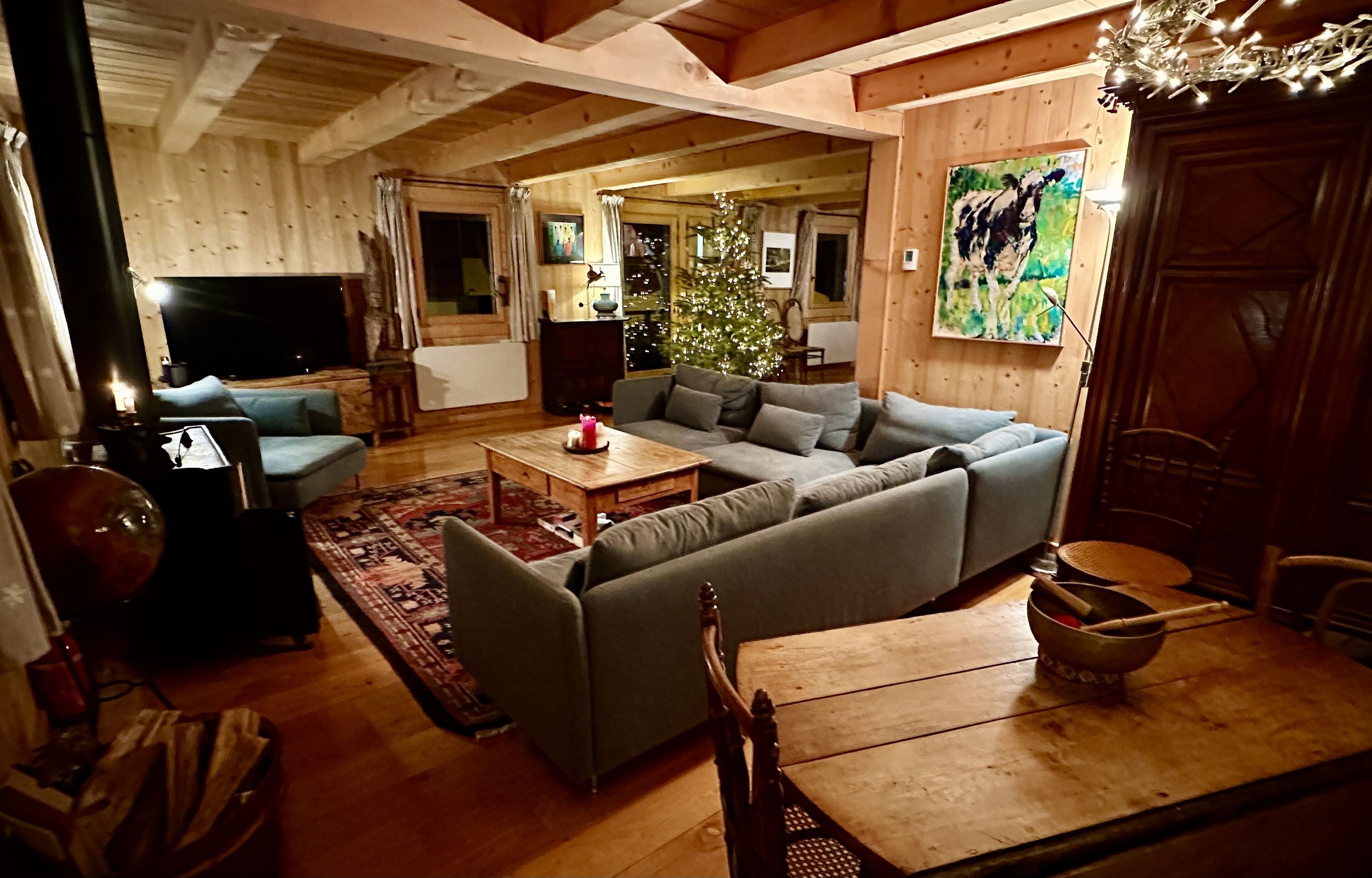 智能电视、DVD 播放器、书、音乐库