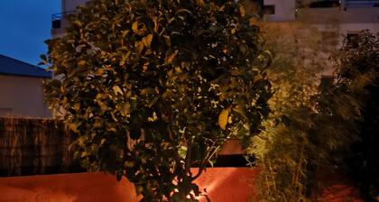 Adorable maison ensoleillée au coeur du centre-ville