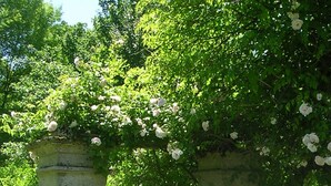 A stone archway with climbing roses, surrounded by lush greenery. - Characterful Farmhouse And Large Pool in Rural Setting, sleeps 10 (Lusignac)