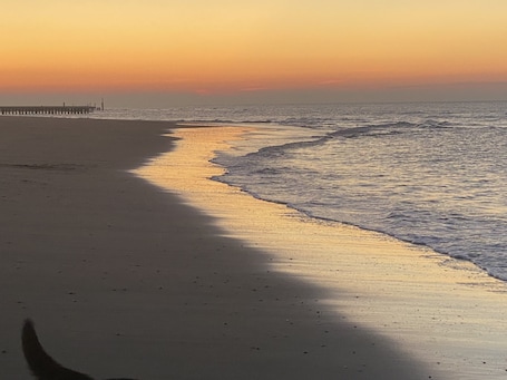 A beach with a wooden pier extending into the water, a clear sky, and gentle waves.