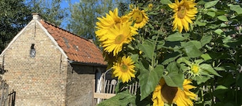 Authentic private cottage, beach a 15-minute walk 😍!
