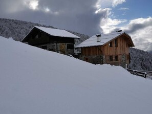 Eksteriør