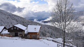 Eksteriør