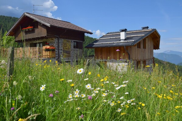 Eksteriør