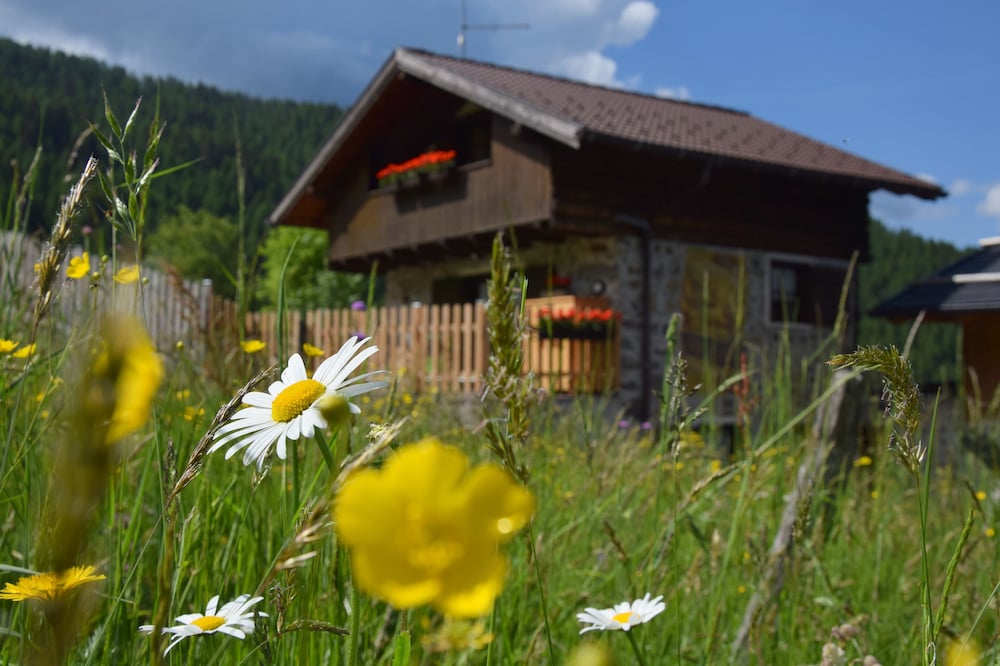 mountain house & pet friendly