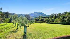 Un área verde bien cuidada con árboles y una montaña al fondo.