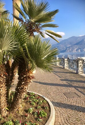 Property grounds - Casa Paradiso In Menaggio. Garden, Pool sleeps 6 by Italian Apartments. (Menaggio)