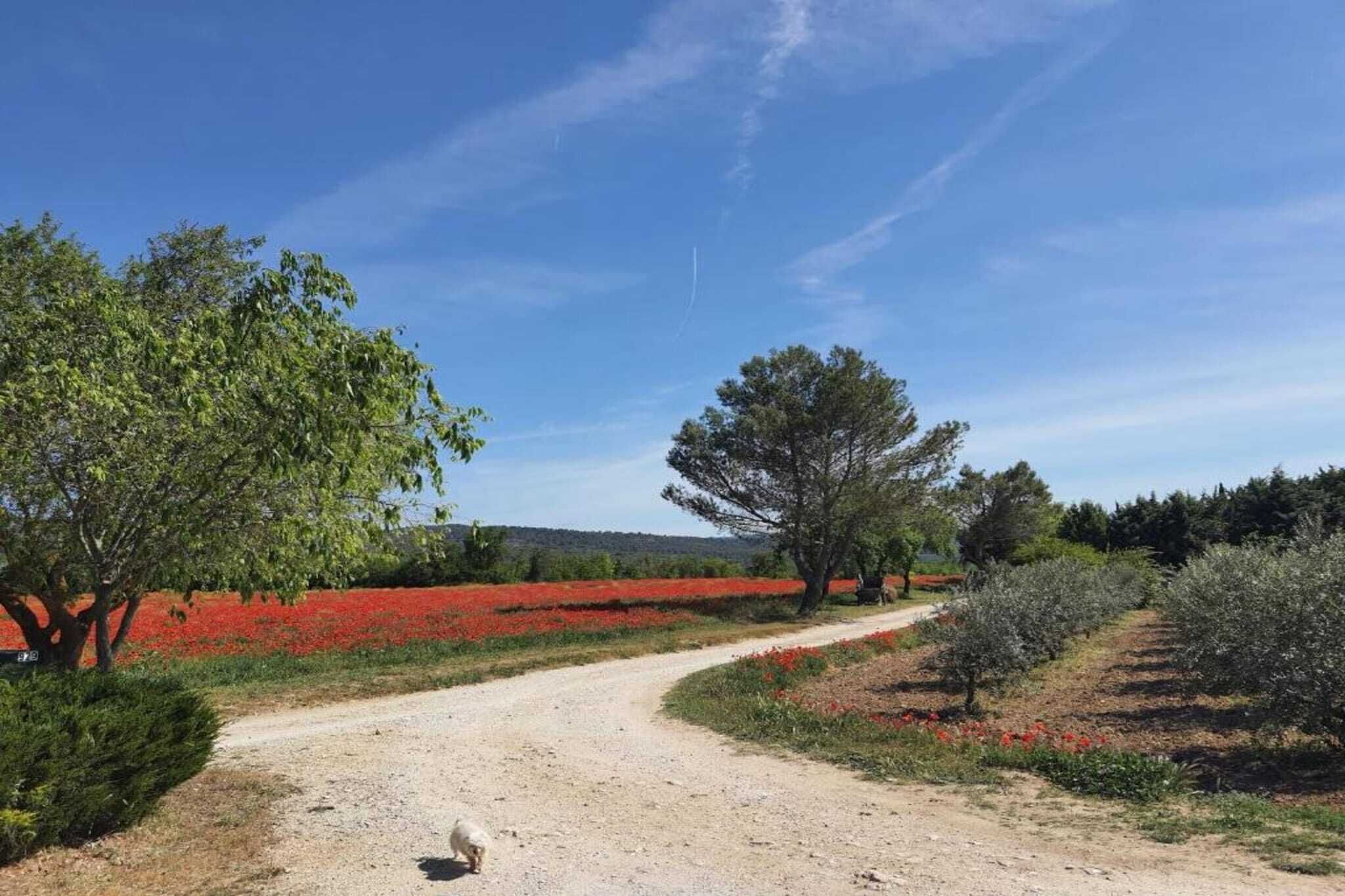 A dirt path leading through a landscape with trees and red flowers.