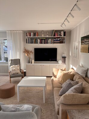 Smart TV, fireplace, DVD player, books